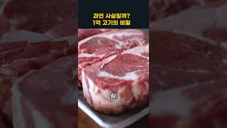 과연 사실일까 1억 고기의 비밀 [upl. by Carrelli]