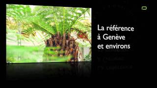 WidmerHydroculture Troinex plantes dintérieur [upl. by Aromas359]