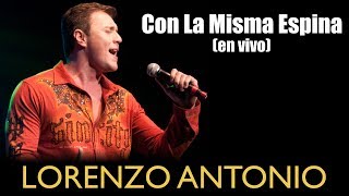 Lorenzo Antonio  quotCon La Misma Espinaquot en vivo [upl. by Wistrup]