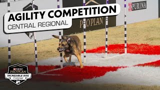 Incredible Dog Challenge Agility Central Regional  NBC Sports [upl. by Richlad]