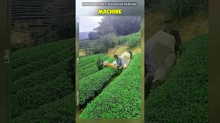 machine is not designed to beautify plants machine viralvideo shorts [upl. by Eeraj]