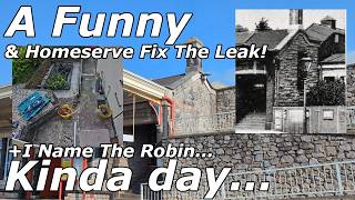 Homeserve fix my leak  Station History amp a walk on the seawall to Name the Robin 020824 [upl. by Nomannic]