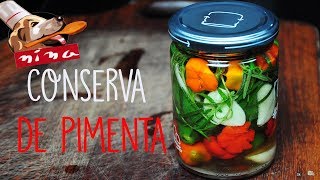 CONSERVA DE PIMENTA SUPER FACIL E SABOROSA  Cozinha da Nina 99 [upl. by Eniamrahc]