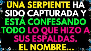 UNA SERPIENTE FUE CAPTURADA Y ESTÁ CONFESANDO TODO LO QUE HIZO A SU ESPALDA EL NOMBRE [upl. by Irby]