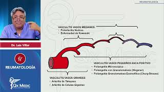 4 1 Vasculitis 2024 [upl. by Ynolem]