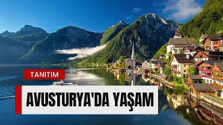 Avusturyada Yaşamanın Avantajları ve Dezavantajları  Doğal Güzellikler Yaşam Kalitesi Mimarisi [upl. by Dmitri]