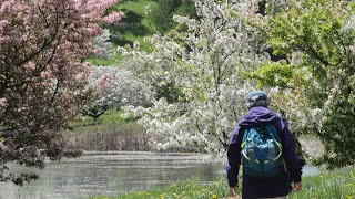 Explore Your Way this Spring at The Morton Arboretum [upl. by Ettenauq560]