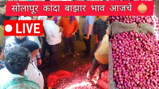 Solapur Onion Market Price TodaySolapur Onion Market Live 🧅 सोलापूर कांदा बाझार भाव आजचे कांदा [upl. by Ozen17]