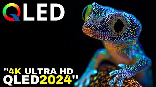 quot2024 QLED DEMO Dolby Vision Takes TV Sound to Uncharted Heightsquot 4K Ultra HD HDR [upl. by Barbey]