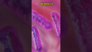 This Bacteria Poops Out Gold facts shorts bacteria gold biology [upl. by Chemarin]