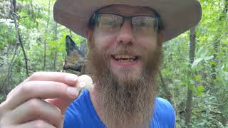 Edibility Test On A Russula Mushroom  How To ID [upl. by Kelci]