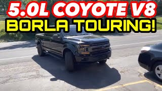 2018 Ford F150 50L COYOTE V8 DUAL EXHAUST w BORLA TOURING CATBACK [upl. by Ricker]