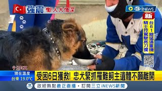 主人不醒我不走 土耳其忠犬緊抓飼主遺體 動保組織負責人見狀哽咽 無數貓狗仍受困待援寵物糧食極度短缺｜【國際局勢】20230215｜三立iNEWS [upl. by Jephthah]