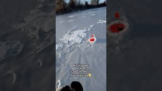 Midwest ASMR icefishing winterfishing viralvideos shorts wintersport [upl. by Eylhsa]