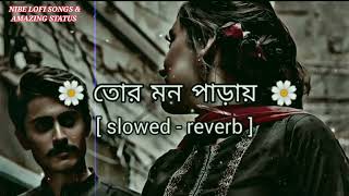 Tor Mon Paray Lofi  slowed  reverb  Mahdi Sultan  তোর মন পাড়ায়  Jisan Khan Shuvo [upl. by Artekal]