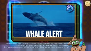 How To Avoid the Whale Trap Spot Big Moves in Crypto  MemeFi [upl. by Nnazil438]