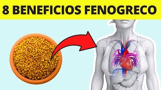 ✅ 8 PROPIEDADES de las Semillas de FENOGRECO  Alholva  💚 [upl. by Bullivant]