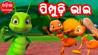 Pimpudi Bhai  More Odia Cartoon Song  Salman Creation  Odia Cartoons [upl. by Razal]