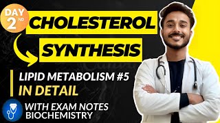 cholesterol metabolism biochemistry  cholesterol biochemistry  cholesterol synthesis pathway [upl. by Lledyr]