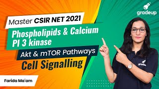 CSIR Master Series  Cell Signalling  Phospholipids and Calcium PI 3 kinase  Akt and mTOR Pathways [upl. by Ancel176]