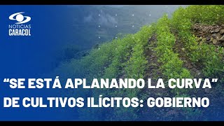 Gobierno destaca que siembra de cultivos ilícitos “desaceleró” pese informe de la ONU [upl. by New97]