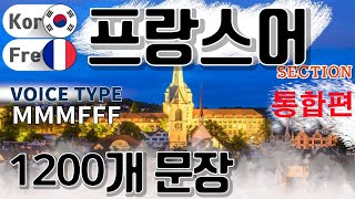 프랑스어  Type M M M F F F 통합편 원어민 발음 짧고 쉬운 12009 hr 문장 연속 듣기  생활 회화 식당 교통 쇼핑 호텔 공항 병원 [upl. by Fidelas]