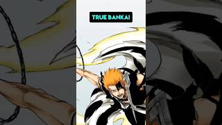 The FATE Reality MANIPULATION Theory  Ichigos True Bankai FULL POTENTIAL [upl. by Lamoree]