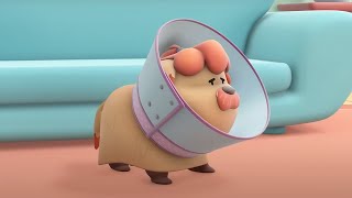 What happened to the dog  poorly puppy  1 Hour of Cartoons  Hero Dad [upl. by Lainahtan620]