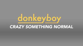 Donkeyboy  Crazy Something Normal Lyrics 4K  Ultra HD [upl. by Otilesoj]