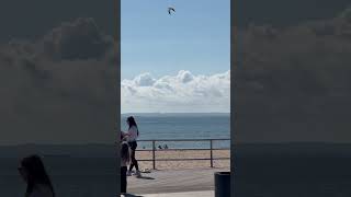 Coney Island Beach [upl. by Liz]