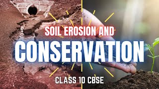 Soil Erosion and Soil Conservation Geography  Resources and Development Class 10 [upl. by Jacki]