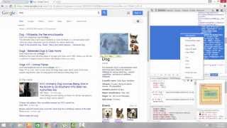 How to use inspect element for image change in web browser [upl. by Aibun]