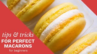 a complete guide to perfect macarons [upl. by Biddy]