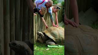 Very exited moments in TWYCROSS200 TWYCROSS200 twycrosszoo uk leicestershire [upl. by Caputo]