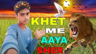 KHET ME AYA SHER ☠️😱 SAJIR LEGEND VLOG NEW VLOG firstvlog firstvideo vlog myfirstvlog dailyvlog [upl. by Maxim]