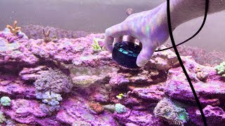 Explained Using A Wavemaker To Clean Live Rock In A Reef Tank [upl. by Yhprum]