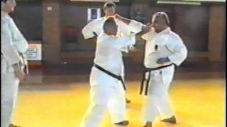 IKS KASE HA RUSSIA  Taiji Kase seminar 6 part Macedonia1995 year mpg [upl. by Inaliel]