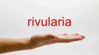 How to Pronounce rivularia  American English [upl. by Issi83]