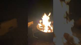 Video of Bennett Field Campground  Tiger Bay State Forest FL from Alyssa D [upl. by Eiramenna976]