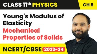 Youngs Modulus of Elasticity  Mechanical Properties of Solids  Class 11 Physics Chapter 8  CBSE [upl. by Huba]