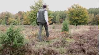 De Tweelingen  boswachterij Hart van Drenthe  Drenthe [upl. by Rotman]