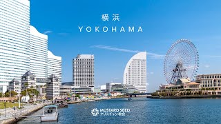 Mustard Seed Yokohama [upl. by Esorbma614]