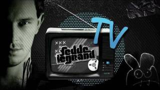 Fedde Le Grand  FLG TV Episode 06  Back amp Forth in the USA [upl. by Aisiat289]