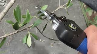 cutting branches video of Swansoft 8605 40mm cordless electric pruning shearprunerscissorsecateur [upl. by Gnemgnok538]