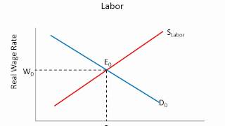 Supply and Demand for Labor [upl. by Hachman]