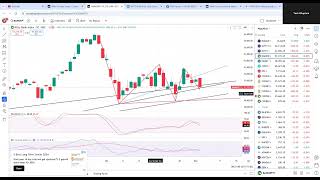 NIFTY\BNF\STOCK FOR 5TH NOV BUY IN DIPS A NEW UPTREND IS ABOUT TO BEGIN [upl. by Meda]