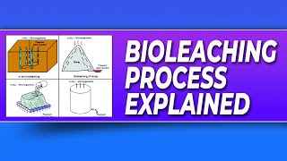 Bioleaching Process [upl. by Eartha734]