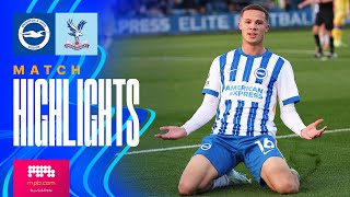 100   HIGHLIGHTS  Brighton v Crystal Palace  Premier League 2 [upl. by Eleahcim]