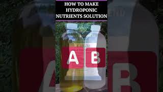 How To Make Hydroponic A amp B Nutrient Solution  Hydroponic Nutrient Solution Recipe shorts [upl. by Ialocin]