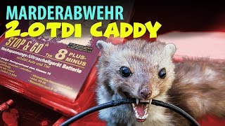 Marderschreck Marderabwehrgerät StopampGo Einbau im Caddy mit Euro 6  HLC Media [upl. by Uaerraj]